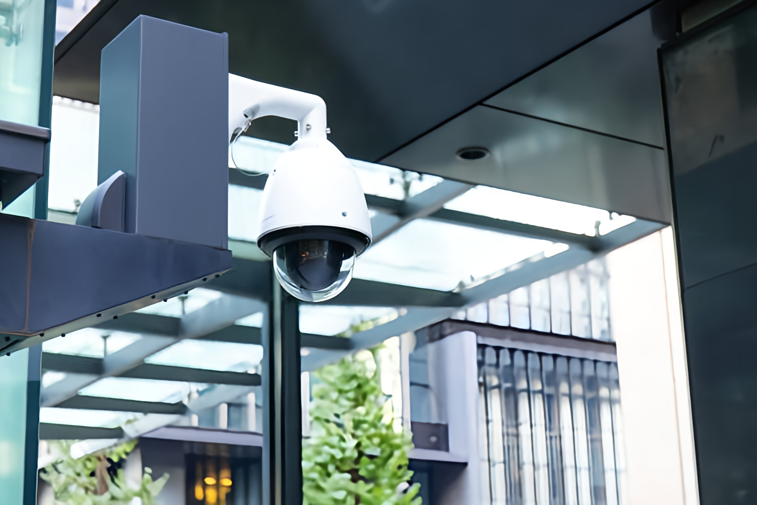 Özel Güvenlik Hizmetleri